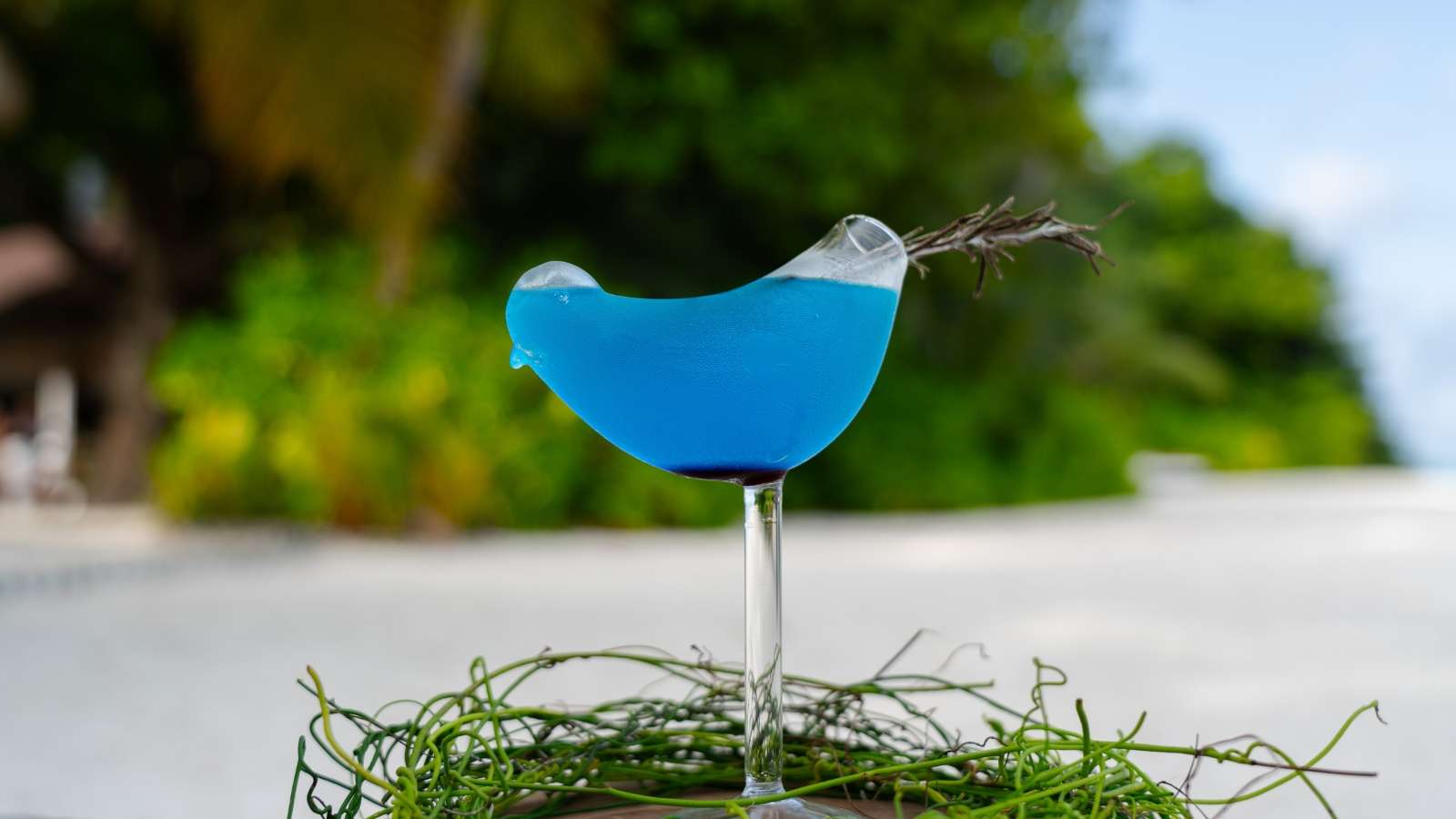 Komandoo_Kambili Drink - a must try